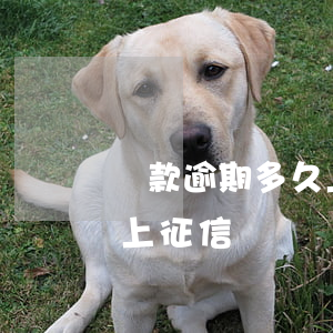 貸款逾期多久上央行征信(一般貸款逾期多久上征信)