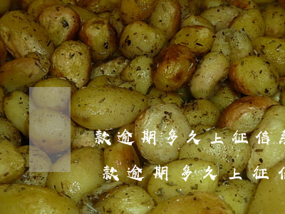 貸款逾期多久上征信系統(tǒng)(金融貸款逾期多久上征信)