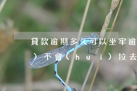 貸款逾期多久可以坐牢(逾期欠款會(huì)不會(huì)拉去坐牢)