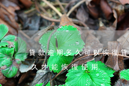 貸款逾期多久可以恢復(貸款逾期后還清了多久才能恢復使用)
