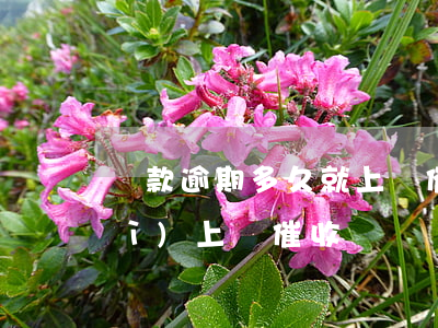 貸款逾期多久就上門催收(貸款逾期會(huì)上門催收嗎?)