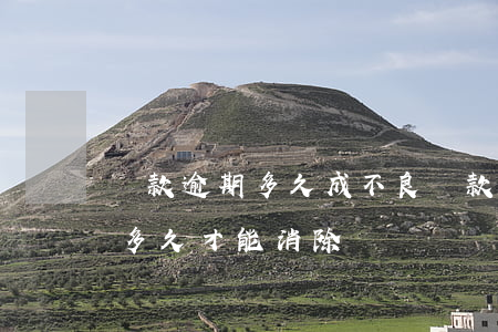 貸款逾期多久成不良(貸款逾期的不良記錄要多久才能消除)