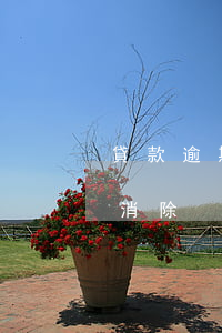 貸款逾期多久才會消除(有逾期多長時間才能消除)