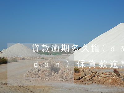 貸款逾期多久擔(dān)保消除(信用擔(dān)保貸款逾期處理流程)