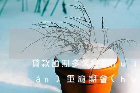 貸款逾期多久會(huì)坐牢(借款嚴(yán)重逾期會(huì)坐牢嗎)
