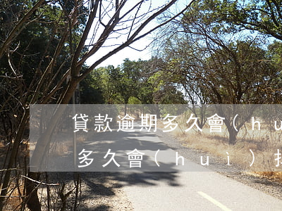 貸款逾期多久會(huì)掉征信(貸款逾期多久會(huì)掉征信)
