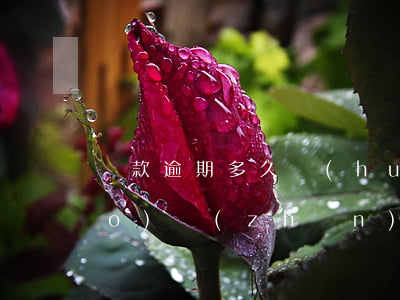 貸款逾期多久會(huì)立案標(biāo)準(zhǔn)(貸款逾期幾天)