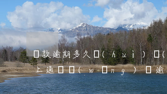 貸款逾期多久會(huì)網(wǎng)上通緝(網(wǎng)貸逾期逮捕令是真的嗎)