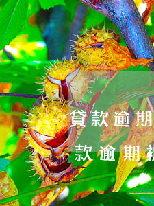 貸款逾期多久會(huì)被起訴坐牢-貸款逾期被起訴立案后會(huì)坐牢嗎