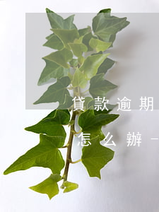貸款逾期多久會(huì)被起訴被起訴了怎么辦-貸款逾期多久會(huì)被起訴會(huì)有什么后果