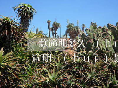 貸款逾期多久會(huì)被起訴黑戶(貸款逾期會(huì)黑戶嗎)