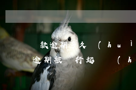 貸款逾期多久會(huì)被銀行起訴(貸款逾期被銀行起訴會(huì)有什么結(jié)果)