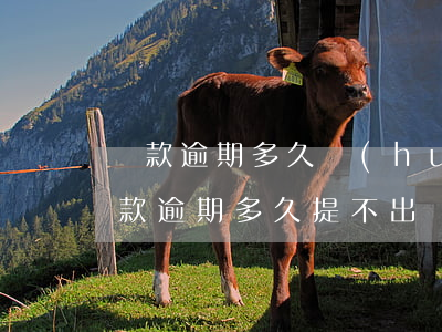 貸款逾期多久會(huì)要求全額還款（貸款逾期多久提不出來）