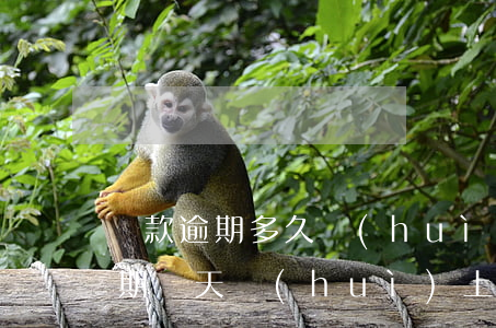 貸款逾期多久會(huì)記錄征信(貸款逾期幾天會(huì)上征信)