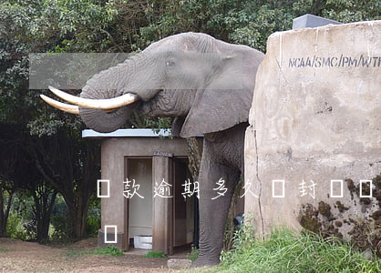 貸款逾期多久會封賬戶(貸款逾期多久會封賬戶)