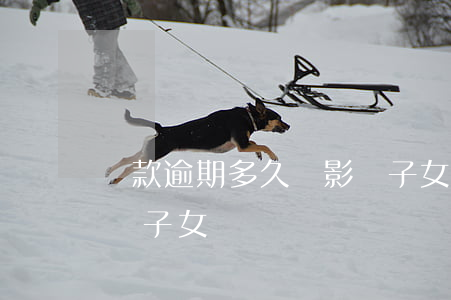 貸款逾期多久會影響子女(貸款逾期多久會影響子女)