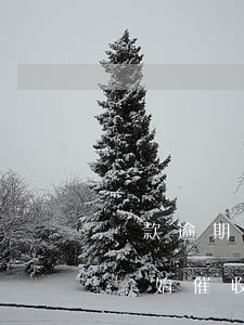 貸款逾期多久會放棄催收(貸款逾期多久銀行開始催收)