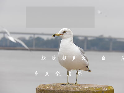 貸款逾期多久會自動消除(銀行貸款逾期記錄多久能消除)