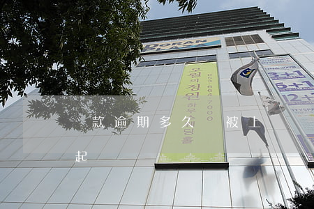 貸款逾期多久會被上報(貸款逾期后多久會被起訴)