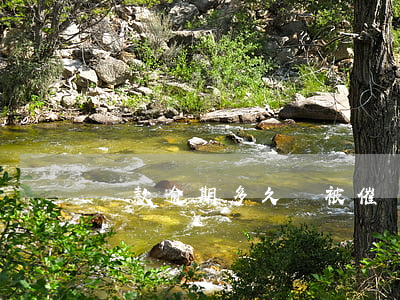 貸款逾期多久會被催債(過年逾期會不會催款)