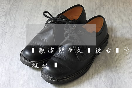 貸款逾期多久會被告(銀行貸款逾期多少天會被起訴)