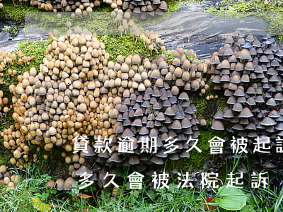 貸款逾期多久會被起訴會被拘留嗎(貸款逾期多久會被法院起訴)