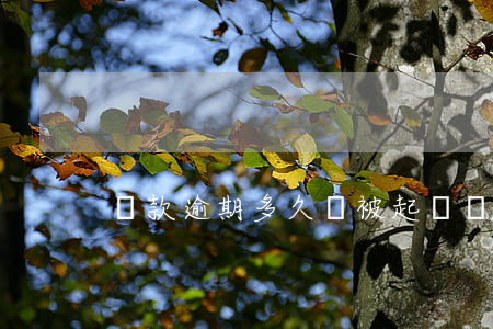 貸款逾期多久會被起訴（貸款可逾期多久）