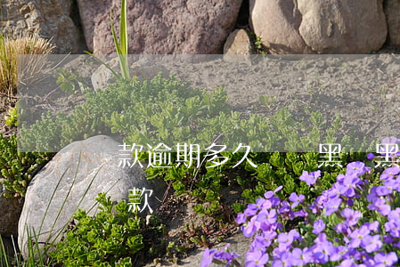 貸款逾期多久會進黑戶(黑戶還清多久能正常貸款)