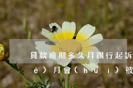 貸款逾期多久月銀行起訴(貸款逾期幾個(gè)月會(huì)被法院起訴)
