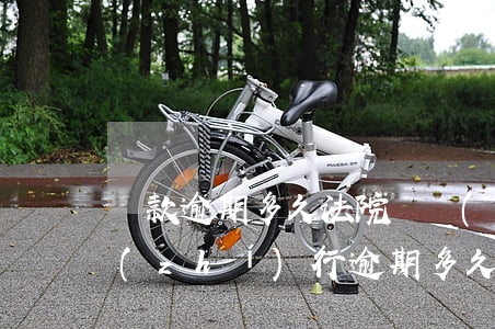 貸款逾期多久法院會強(qiáng)制執(zhí)行（逾期多久會被強(qiáng)制執(zhí)行）