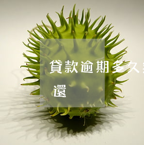 貸款逾期多久無(wú)法追回(貸款逾期未還)