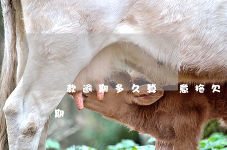 貸款逾期多久算惡意拖欠(逾期多久算惡意逾期)