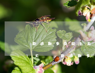 貸款逾期多久能上大數(shù)據(jù)(大額貸款逾期多久上征信)