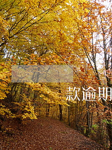貸款逾期多久能再借(貸款逾期了還能再貸款嗎)