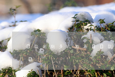 貸款逾期多久能再貸(貸款逾期了還能再貸款嗎)