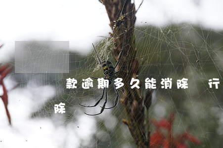 貸款逾期多久能消除(銀行貸款逾期多久能消除)