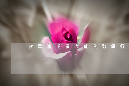 貸款逾期多久能貸款(銀行貸款能逾期多久)