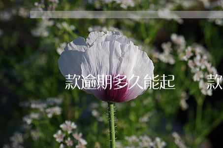 貸款逾期多久能起訴(貸款逾期多久能起訴)