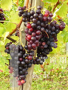 貸款逾期多久訴訟期(貸款逾期幾個月會被法院起訴)