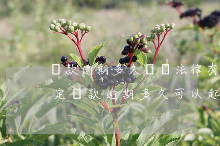 貸款逾期多久訴訟（法律有沒有規(guī)定貸款逾期多久可以起訴）