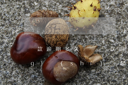 貸款逾期多久訴訟 貸款逾期多長(zhǎng)時(shí)間起訴