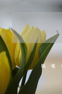 貸款逾期多久訴訟 貸款逾期多長時間起訴