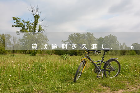 貸款逾期多久進(jìn)可疑(貸款有逾期)