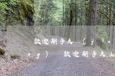 貸款逾期多久進(jìn)征信系統(tǒng)(貸款逾期多久上征信)