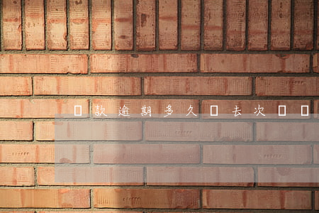 貸款逾期多久進去次級(貸款逾期分幾級)
