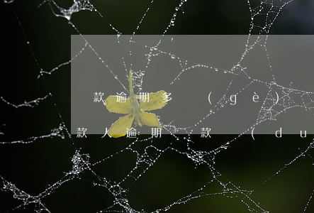 貸款逾期多個(gè)擔(dān)保人(貸款人逾期還款對(duì)擔(dān)保人有什么后果)