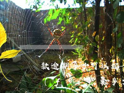 貸款逾期多少可以起訴(貸款逾期被起訴訴訟費(fèi)要多少)