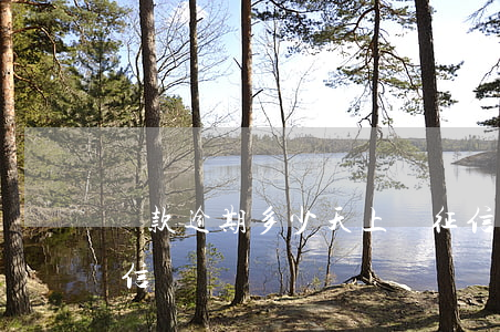 貸款逾期多少天上報征信(逾期多久會上報征信)