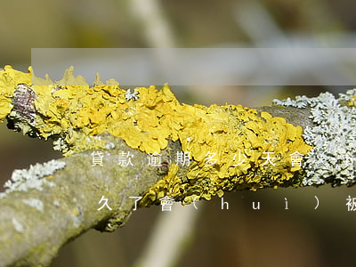 貸款逾期多少天會(huì)坐牢(貸款逾期久了會(huì)被拘留嗎)