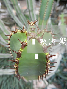 貸款逾期多少天算違約6(房貸欠款幾天算違約)